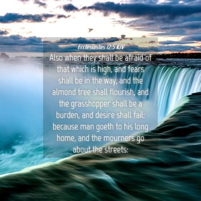 Picture 04 - Ecclesiastes 12:5 KJV - Also when they shall be afraid of that which is - Bible Verse Picture