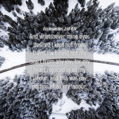Picture 04 - Ecclesiastes 2:10 KJV - And whatsoever mine eyes desired I kept not from - Bible Verse Picture