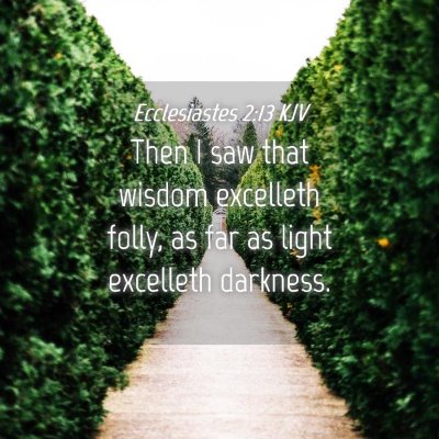 Picture 04 - Ecclesiastes 2:13 KJV - Then I saw that wisdom excelleth folly, as far as - Bible Verse Picture