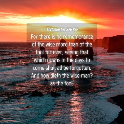 Picture 04 - Ecclesiastes 2:16 KJV - For there is no remembrance of the wise more than - Bible Verse Picture