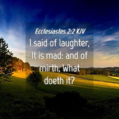 Picture 04 - Ecclesiastes 2:2 KJV - I said of laughter, It is mad: and of mirth, What - Bible Verse Picture