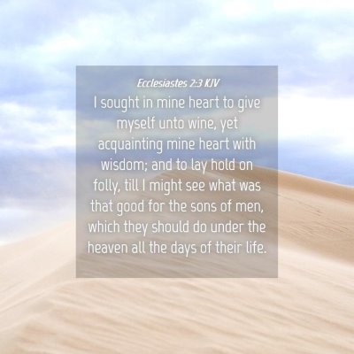 Picture 04 - Ecclesiastes 2:3 KJV - I sought in mine heart to give myself unto wine, - Bible Verse Picture