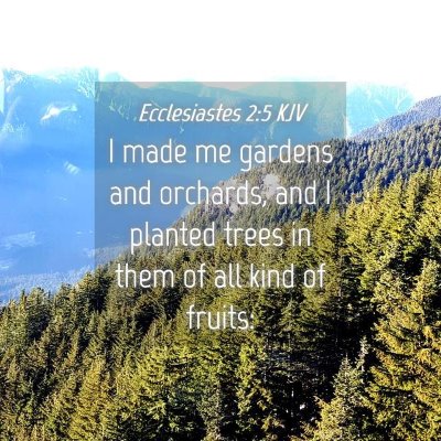 Picture 04 - Ecclesiastes 2:5 KJV - I made me gardens and orchards, and I planted - Bible Verse Picture