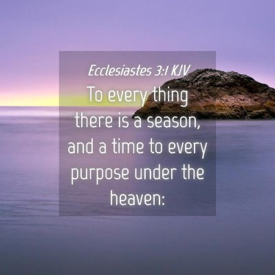 Picture 04 - Ecclesiastes 3:1 KJV - To every thing there is a season, and a time to - Bible Verse Picture