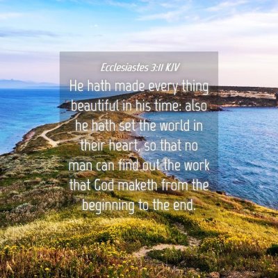Picture 04 - Ecclesiastes 3:11 KJV - He hath made every thing beautiful in his time: - Bible Verse Picture