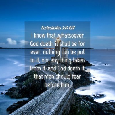 Picture 04 - Ecclesiastes 3:14 KJV - I know that, whatsoever God doeth, it shall be - Bible Verse Picture