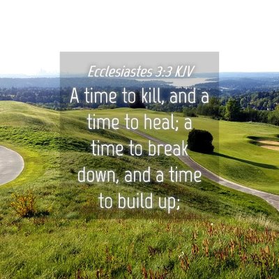 Picture 04 - Ecclesiastes 3:3 KJV - A time to kill, and a time to heal; a time to - Bible Verse Picture