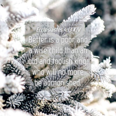 Picture 04 - Ecclesiastes 4:13 KJV - Better is a poor and a wise child than an old and - Bible Verse Picture