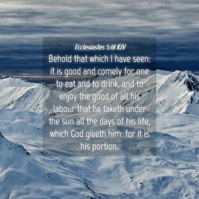 Picture 04 - Ecclesiastes 5:18 KJV - Behold that which I have seen: it is good and - Bible Verse Picture