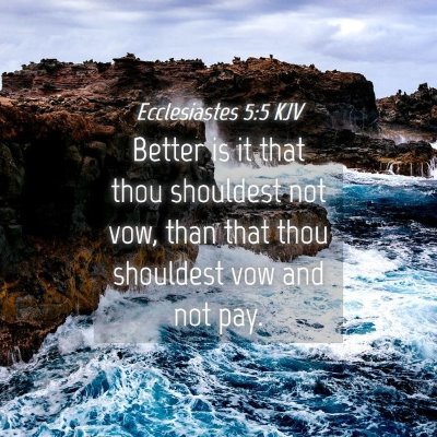Picture 04 - Ecclesiastes 5:5 KJV - Better is it that thou shouldest not vow, than - Bible Verse Picture