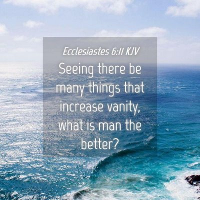 Picture 04 - Ecclesiastes 6:11 KJV - Seeing there be many things that increase vanity, - Bible Verse Picture