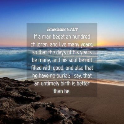 Picture 04 - Ecclesiastes 6:3 KJV - If a man beget an hundred children, and live many - Bible Verse Picture
