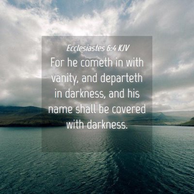 Picture 04 - Ecclesiastes 6:4 KJV - For he cometh in with vanity, and departeth in - Bible Verse Picture