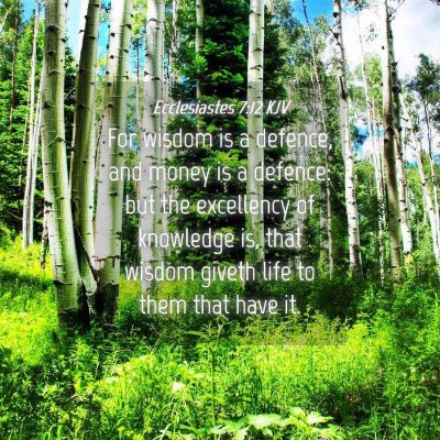 Picture 04 - Ecclesiastes 7:12 KJV - For wisdom is a defence, and money is a defence: - Bible Verse Picture