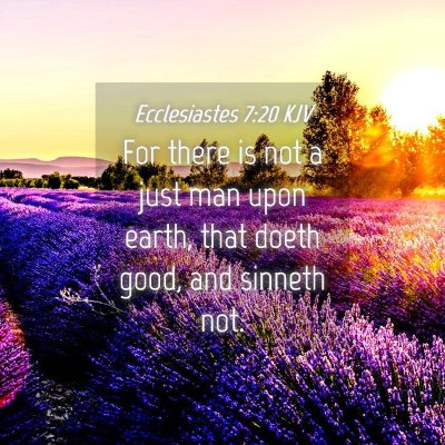 Picture 04 - Ecclesiastes 7:20 KJV - For there is not a just man upon earth, that - Bible Verse Picture