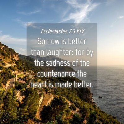 Picture 04 - Ecclesiastes 7:3 KJV - Sorrow is better than laughter: for by the - Bible Verse Picture
