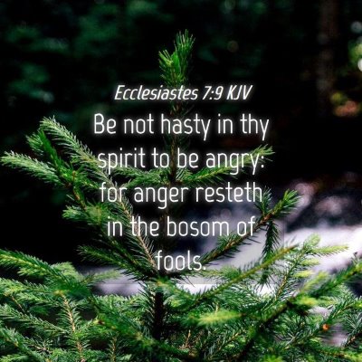 Picture 04 - Ecclesiastes 7:9 KJV - Be not hasty in thy spirit to be angry: for anger - Bible Verse Picture