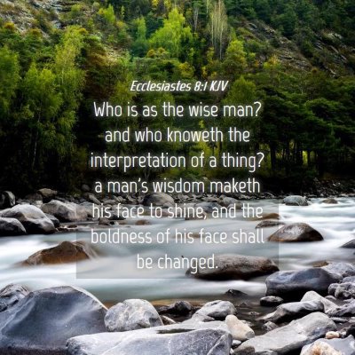 Picture 04 - Ecclesiastes 8:1 KJV - Who is as the wise man? and who knoweth the - Bible Verse Picture