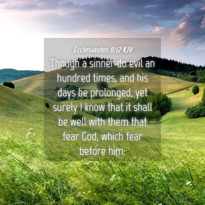 Picture 04 - Ecclesiastes 8:12 KJV - Though a sinner do evil an hundred times, and his - Bible Verse Picture
