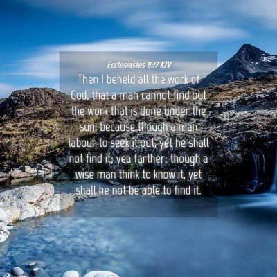 Picture 04 - Ecclesiastes 8:17 KJV - Then I beheld all the work of God, that a man - Bible Verse Picture