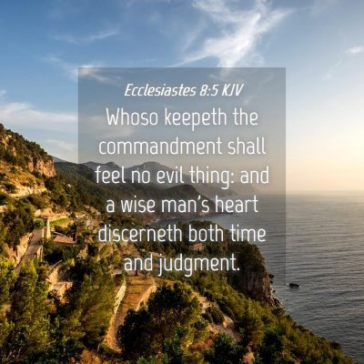 Picture 04 - Ecclesiastes 8:5 KJV - Whoso keepeth the commandment shall feel no evil - Bible Verse Picture