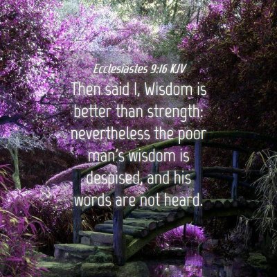 Picture 04 - Ecclesiastes 9:16 KJV - Then said I, Wisdom is better than strength: - Bible Verse Picture