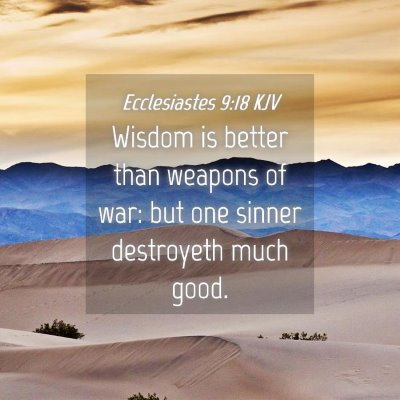 Picture 04 - Ecclesiastes 9:18 KJV - Wisdom is better than weapons of war: but one - Bible Verse Picture