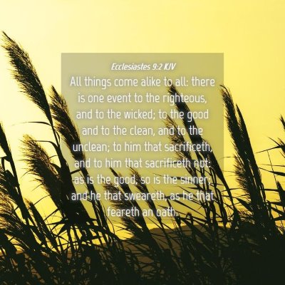 Picture 04 - Ecclesiastes 9:2 KJV - All things come alike to all: there is one event - Bible Verse Picture