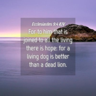 Picture 04 - Ecclesiastes 9:4 KJV - For to him that is joined to all the living there - Bible Verse Picture