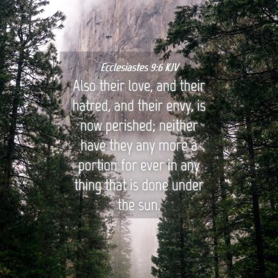 Picture 04 - Ecclesiastes 9:6 KJV - Also their love, and their hatred, and their - Bible Verse Picture