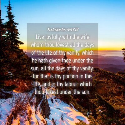 Picture 04 - Ecclesiastes 9:9 KJV - Live joyfully with the wife whom thou lovest all - Bible Verse Picture