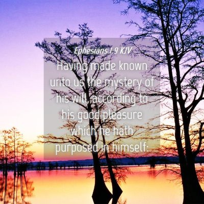 Picture 04 - Ephesians 1:9 KJV - Having made known unto us the mystery of his - Bible Verse Picture