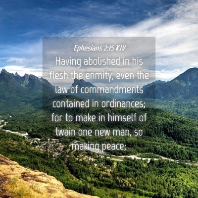 Picture 04 - Ephesians 2:15 KJV - Having abolished in his flesh the enmity, even - Bible Verse Picture