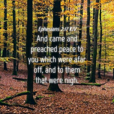 Picture 04 - Ephesians 2:17 KJV - And came and preached peace to you which were - Bible Verse Picture