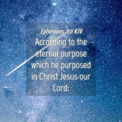 Picture 04 - Ephesians 3:11 KJV - According to the eternal purpose which he - Bible Verse Picture