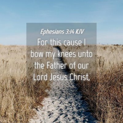 Picture 04 - Ephesians 3:14 KJV - For this cause I bow my knees unto the Father of - Bible Verse Picture