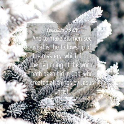 Picture 04 - Ephesians 3:9 KJV - And to make all men see what is the fellowship of - Bible Verse Picture