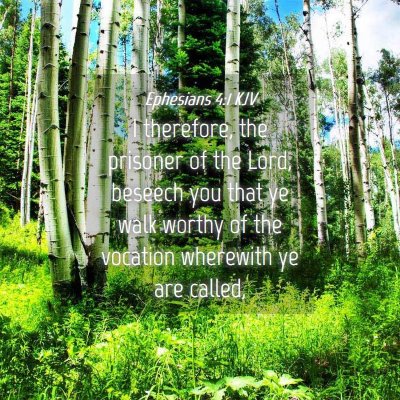 Picture 04 - Ephesians 4:1 KJV - I therefore, the prisoner of the Lord, beseech - Bible Verse Picture