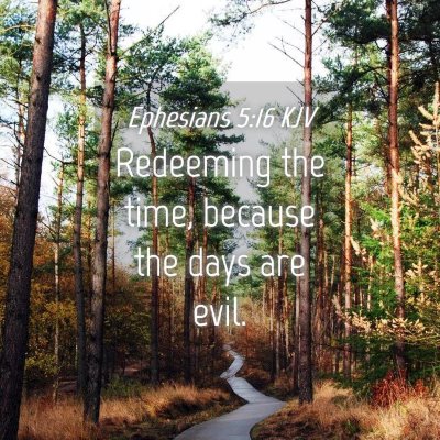 Picture 04 - Ephesians 5:16 KJV - Redeeming the time, because the days are - Bible Verse Picture