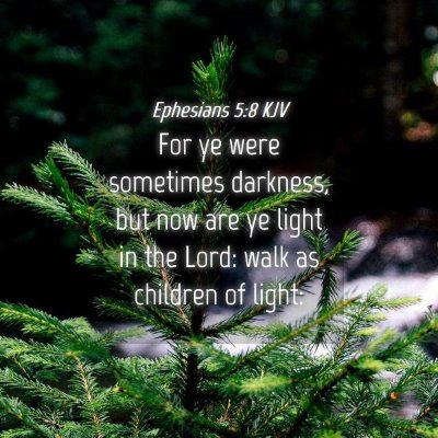 Picture 04 - Ephesians 5:8 KJV - For ye were sometimes darkness, but now are ye - Bible Verse Picture