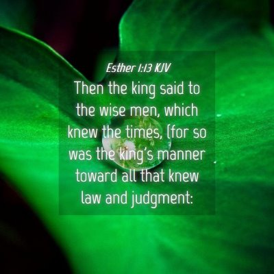 Picture 04 - Esther 1:13 KJV - Then the king said to the wise men, which knew - Bible Verse Picture