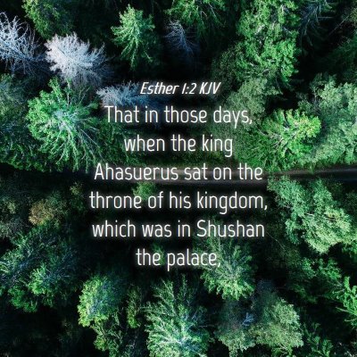 Picture 04 - Esther 1:2 KJV - That in those days, when the king Ahasuerus sat - Bible Verse Picture