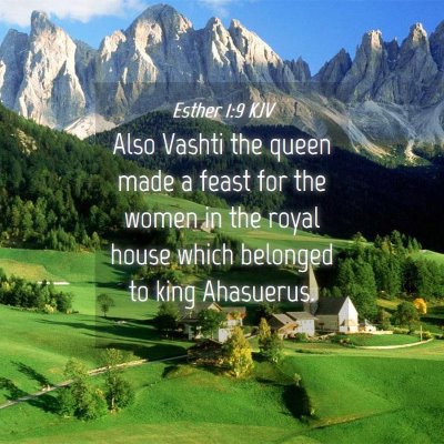 Picture 04 - Esther 1:9 KJV - Also Vashti the queen made a feast for the women - Bible Verse Picture
