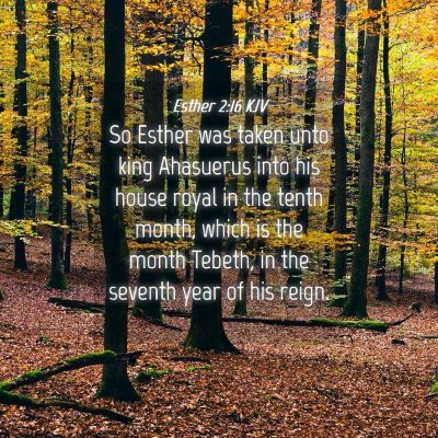 Picture 04 - Esther 2:16 KJV - So Esther was taken unto king Ahasuerus into his - Bible Verse Picture