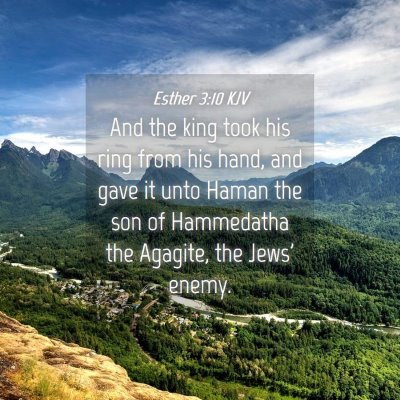 Picture 04 - Esther 3:10 KJV - And the king took his ring from his hand, and - Bible Verse Picture
