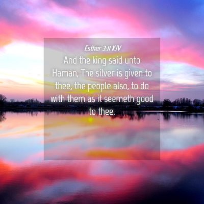 Picture 04 - Esther 3:11 KJV - And the king said unto Haman, The silver is given - Bible Verse Picture