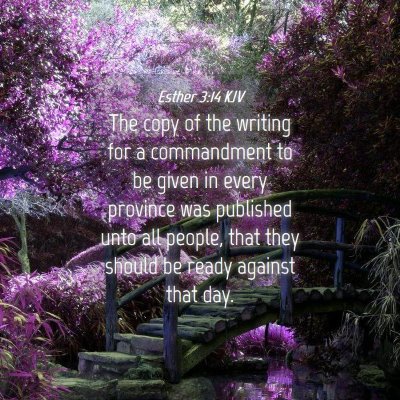 Picture 04 - Esther 3:14 KJV - The copy of the writing for a commandment to be - Bible Verse Picture