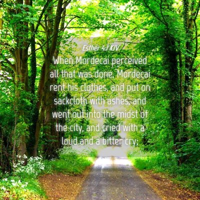 Picture 04 - Esther 4:1 KJV - When Mordecai perceived all that was done, - Bible Verse Picture