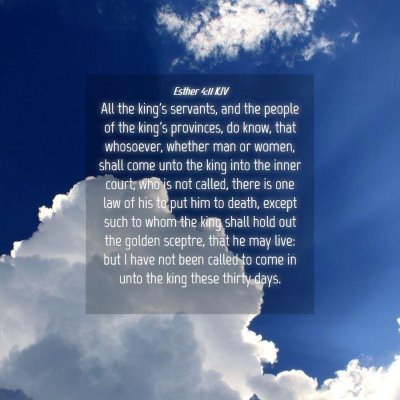 Picture 04 - Esther 4:11 KJV - All the king's servants, and the people of the - Bible Verse Picture