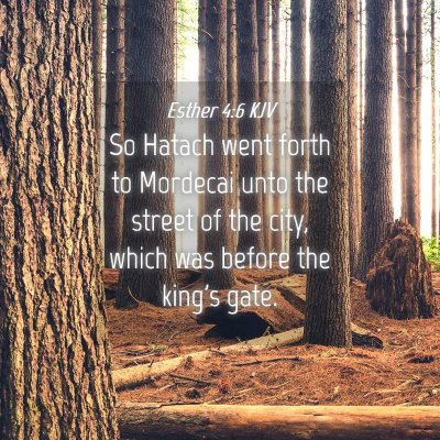 Picture 04 - Esther 4:6 KJV - So Hatach went forth to Mordecai unto the street - Bible Verse Picture